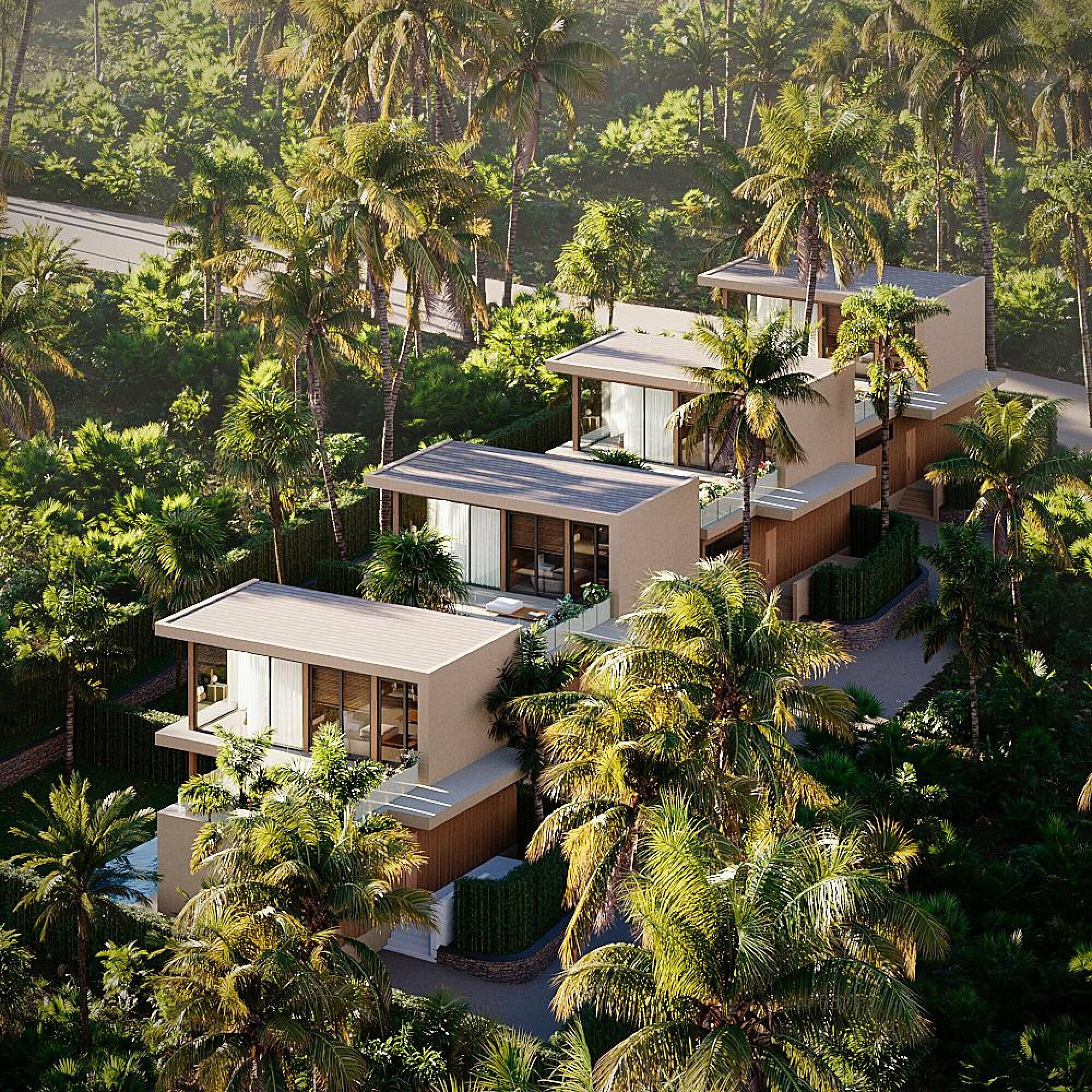 โฟร์มูน